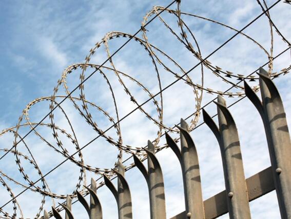 Concertina wire