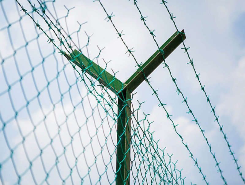 Galvanized or PVC Coated Barbed wire