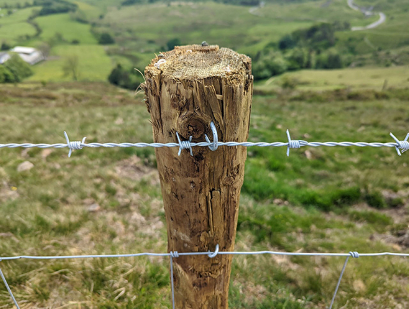 Galvanized or PVC Coated Barbed wire