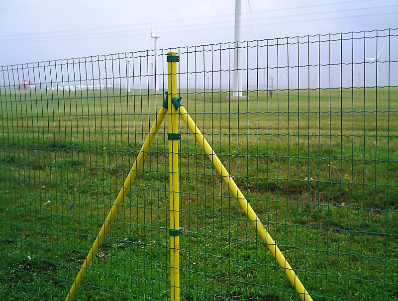 Euro Panel Fence