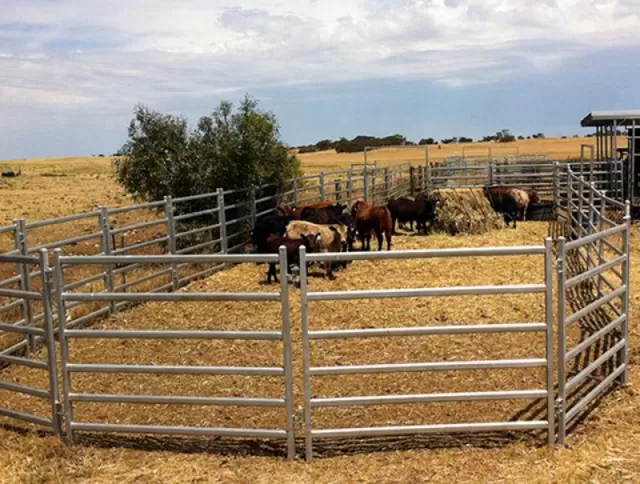 https://www.wireandmesh.net/wire-mesh-fence/livestock-panels.html